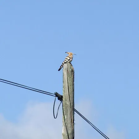 La Tierra Verde Casita Holiday home *