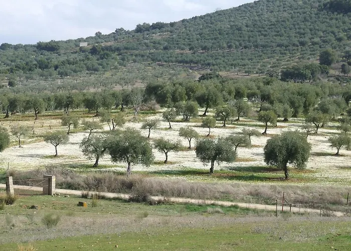 La Tierra Casita * Alcuéscar